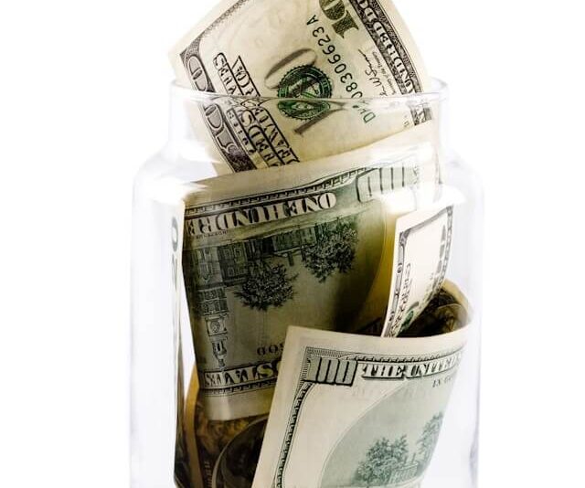 Fundraising & Investment Access