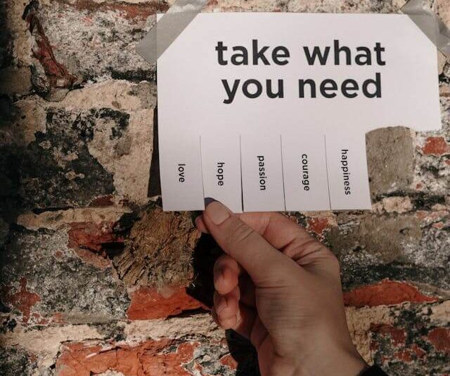 Other (Customized Needs)
